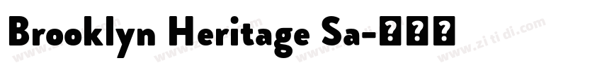 Brooklyn Heritage Sa字体转换